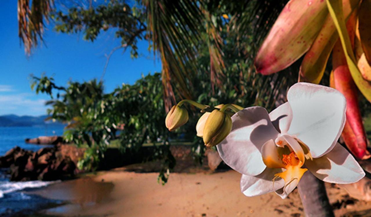 Paraty Marin Vila Exterior foto